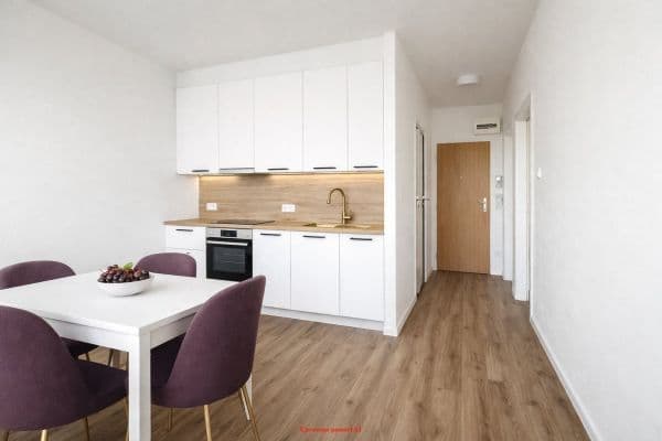 Pronájem bytu 1+1 37 m², K Hájku, Frýdek-Místek, Moravskoslezský kraj Pronájem bytu 1+1 37 m², K Hájku, Frýdek-Místek, Moravskoslezský kraj