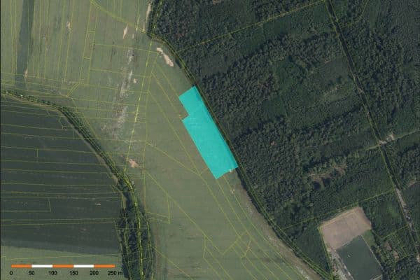 Prodej pozemku 2.168 m², Kostelec nad Černými lesy Prodej pozemku 2.168 m², Kostelec nad Černými lesy
