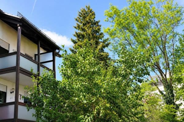 Prodej bytu 2+1 50 m², München, Bavorsko Prodej bytu 2+1 50 m², München, Bavorsko