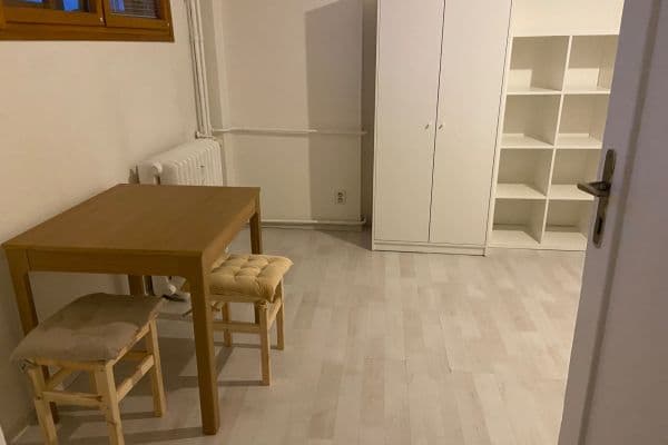 Pronájem bytu 1+kk 26 m², U Vinohradské nemocnice, Praha Pronájem bytu 1+kk 26 m², U Vinohradské nemocnice, Praha
