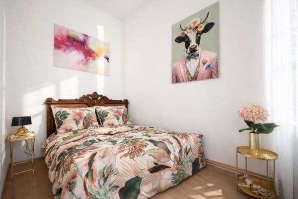 Pronájem bytu 30 m², Horní náměstí a, Olomouc, Olomoucký kraj Pronájem bytu 30 m², Horní náměstí a, Olomouc, Olomoucký kraj