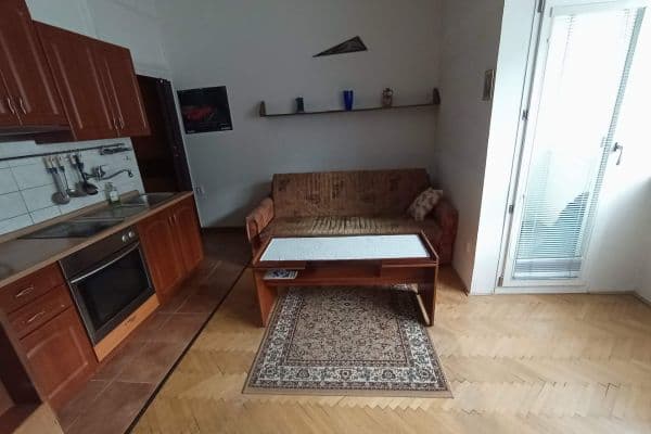 Pronájem bytu 1+kk 25 m², Botanická, Brno Pronájem bytu 1+kk 25 m², Botanická, Brno