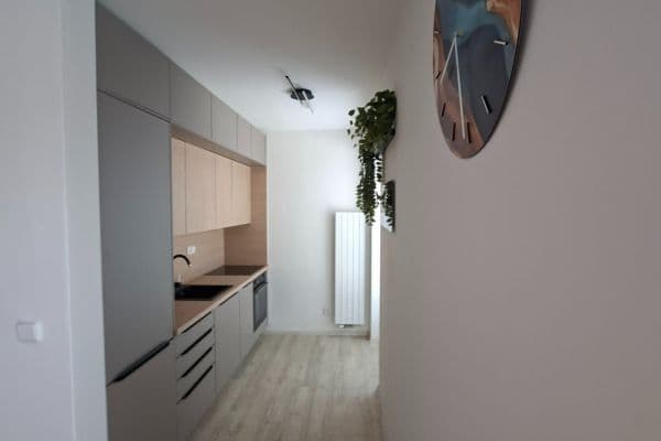 Pronájem bytu 1+kk 33 m², Dělnická, Čelákovice Pronájem bytu 1+kk 33 m², Dělnická, Čelákovice