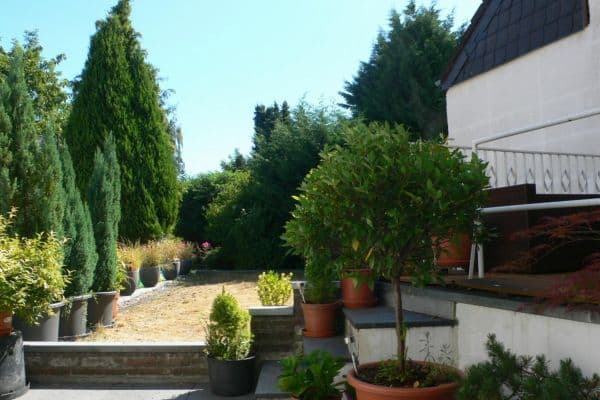 Pronájem bytu 2+kk 65 m², Mönchengladbach Pronájem bytu 2+kk 65 m², Mönchengladbach