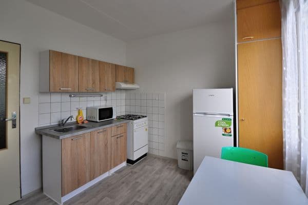 Pronájem bytu 1+1 49 m², Bzenecká, Plzeň, Plzeňský kraj Pronájem bytu 1+1 49 m², Bzenecká, Plzeň, Plzeňský kraj