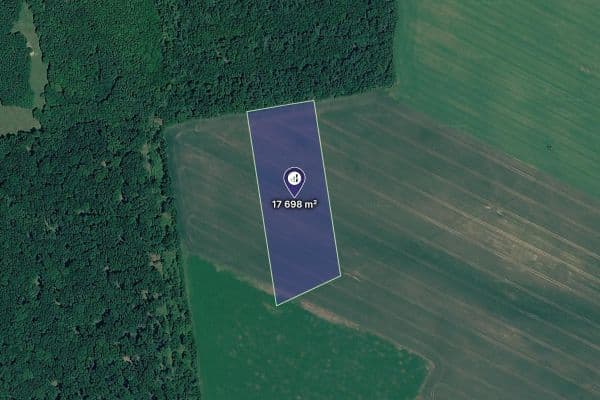 Prodej pozemku 17.698 m², Bulhary Prodej pozemku 17.698 m², Bulhary