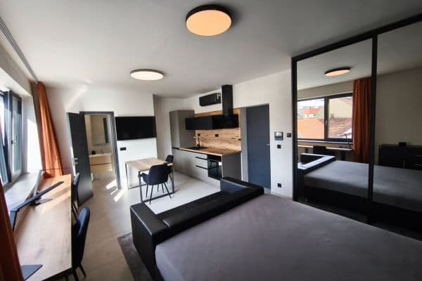 Pronájem bytu 1+kk 30 m², Šmejkalova, Brno Pronájem bytu 1+kk 30 m², Šmejkalova, Brno
