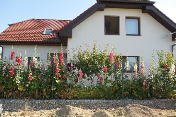 Prodej domu 217 m², pozemek 845 m², Záhoří Prodej domu 217 m², pozemek 845 m², Záhoří