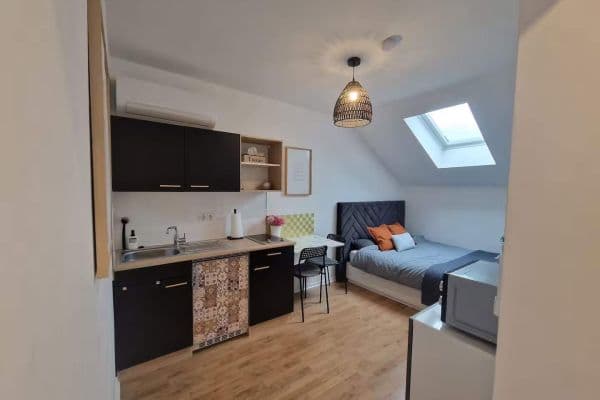 Pronájem bytu 1+1 20 m², Ludwigshafen am Rhein, Porýní-Falc Pronájem bytu 1+1 20 m², Ludwigshafen am Rhein, Porýní-Falc