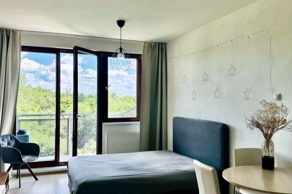 Pronájem bytu 1+kk 51 m², Davídkova, Praha Pronájem bytu 1+kk 51 m², Davídkova, Praha