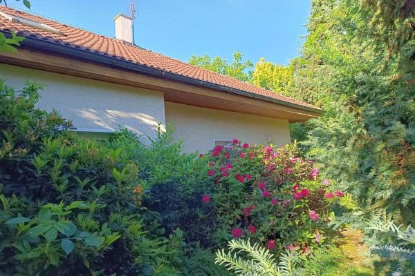 Prodej domu 180 m², pozemek 1.020 m², Ve Skále, Šestajovice Prodej domu 180 m², pozemek 1.020 m², Ve Skále, Šestajovice