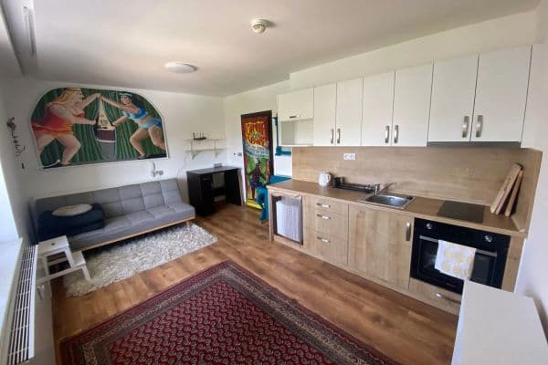 Pronájem bytu 1+kk 36 m², Vinohradská, Praha Pronájem bytu 1+kk 36 m², Vinohradská, Praha