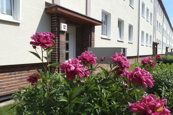 Pronájem bytu 2+1 65 m², Eisnerstraße 6, Magdeburg, Sasko-Anhaltsko Pronájem bytu 2+1 65 m², Eisnerstraße 6, Magdeburg, Sasko-Anhaltsko