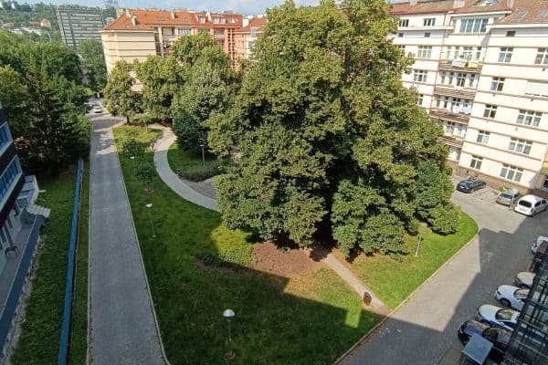 Pronájem bytu 2+kk 45 m², U Pergamenky, Praha Pronájem bytu 2+kk 45 m², U Pergamenky, Praha