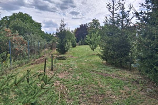Pronájem pozemku 1.300 m², SO POÚ Roztoky Pronájem pozemku 1.300 m², SO POÚ Roztoky