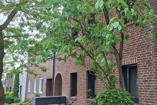 Prodej bytu 3+1 72 m², Münsterstraße 65, Haltern am See Prodej bytu 3+1 72 m², Münsterstraße 65, Haltern am See