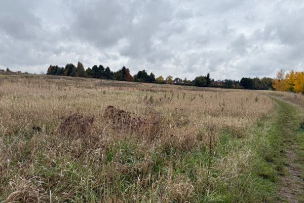Pronájem pozemku 2.600 m², Úhonice Pronájem pozemku 2.600 m², Úhonice