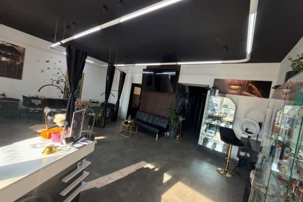 Pronájem nebytového prostoru 167 m², Freyova, Praha Pronájem nebytového prostoru 167 m², Freyova, Praha
