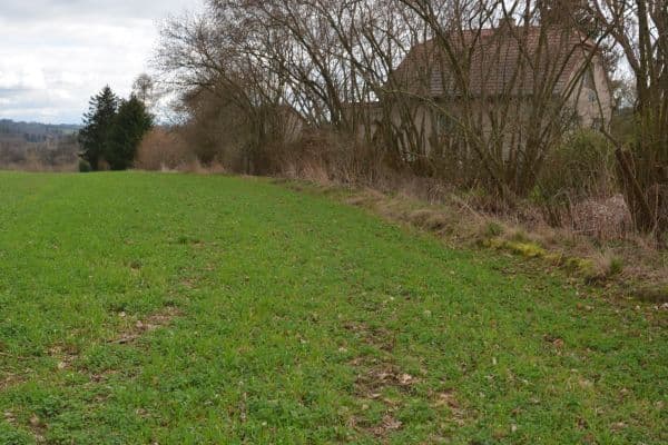 Prodej pozemku 2.259 m², Zruč nad Sázavou Prodej pozemku 2.259 m², Zruč nad Sázavou