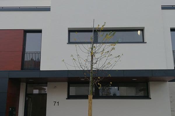 Pronájem bytu 2+1 64 m², Kattreinstraße 71, Darmstadt Pronájem bytu 2+1 64 m², Kattreinstraße 71, Darmstadt