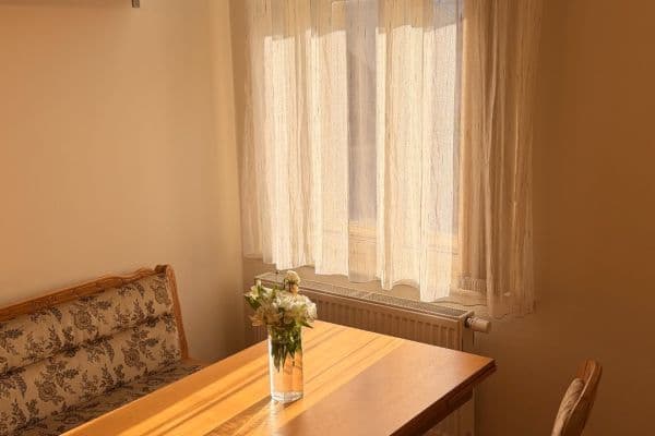 Pronájem bytu 1+1 50 m², Haškova, Praha Pronájem bytu 1+1 50 m², Haškova, Praha