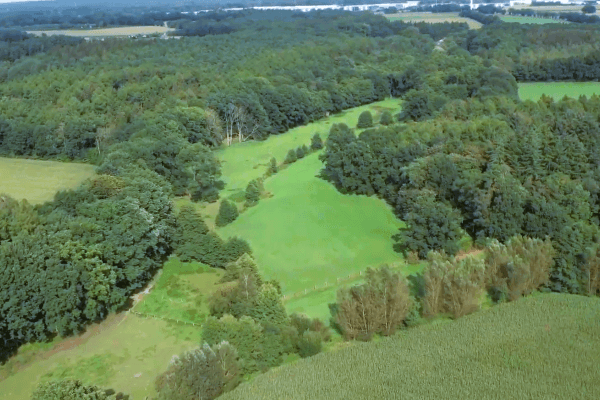 Prodej domu 418 m², pozemek 5.380 m², Hollenstedt Prodej domu 418 m², pozemek 5.380 m², Hollenstedt