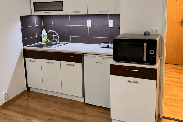 Pronájem bytu 1+kk 26 m², U Parku, Ostrava Pronájem bytu 1+kk 26 m², U Parku, Ostrava