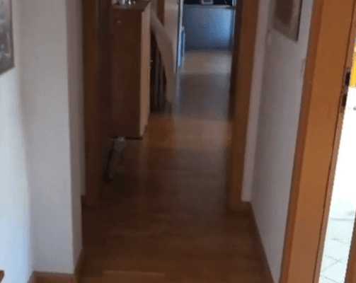 Pronájem bytu 4+1 93 m², Lessingstraße 28, Halle (Saale) Pronájem bytu 4+1 93 m², Lessingstraße 28, Halle (Saale)