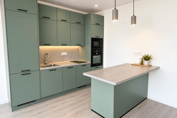 Pronájem bytu 1+kk 41 m², Elišky Přemyslovny, Praha Pronájem bytu 1+kk 41 m², Elišky Přemyslovny, Praha
