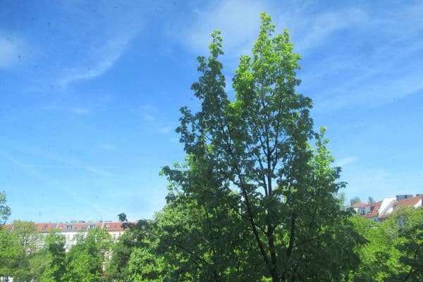 Pronájem bytu 2+1 50 m², Berlin, Berlín Pronájem bytu 2+1 50 m², Berlin, Berlín