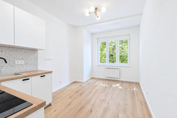 Pronájem bytu 1+kk 23 m², Petrohradská, Praha Pronájem bytu 1+kk 23 m², Petrohradská, Praha