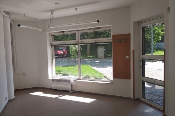 Pronájem nebytového prostoru 17 m², Fialová, Brno Pronájem nebytového prostoru 17 m², Fialová, Brno