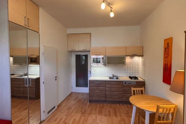 Pronájem bytu 1+kk 30 m², V Domově, Hlavní město Praha Pronájem bytu 1+kk 30 m², V Domově, Hlavní město Praha