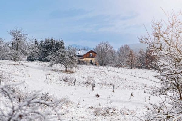 Pronájem chaty, chalupy, Nepomuk, Plzeňský kraj Pronájem chaty, chalupy, Nepomuk, Plzeňský kraj