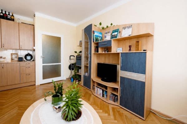 Pronájem bytu Garsoniéra 24 m², Hostýnská, Praha Pronájem bytu Garsoniéra 24 m², Hostýnská, Praha