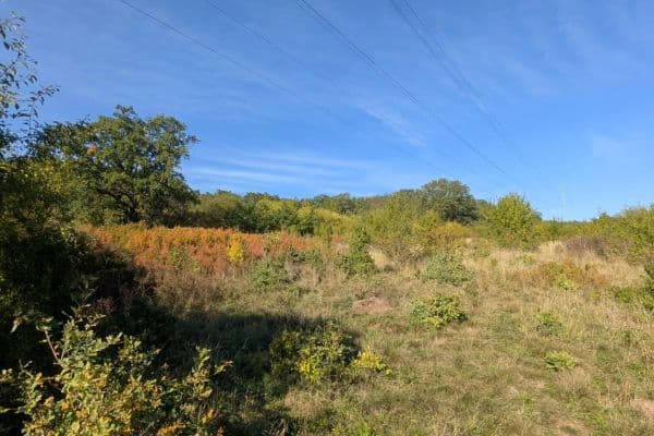 Prodej pozemku 22.542 m², Korno Prodej pozemku 22.542 m², Korno