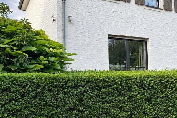 Prodej domu 110 m², pozemek 349 m², Heinsberg Prodej domu 110 m², pozemek 349 m², Heinsberg