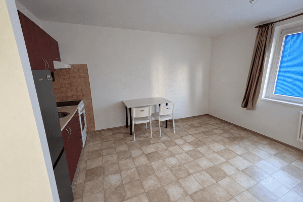 Pronájem bytu 1+kk 30 m², Velkopavlovická, Brno Pronájem bytu 1+kk 30 m², Velkopavlovická, Brno