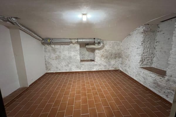 Pronájem nebytového prostoru 20 m², Bořivojova, Praha Pronájem nebytového prostoru 20 m², Bořivojova, Praha