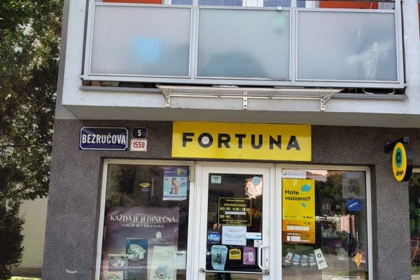 Prodej bytu 1+1 33 m², Bezručova, Blansko Prodej bytu 1+1 33 m², Bezručova, Blansko