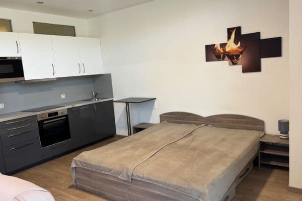 Pronájem bytu 1+1 48 m², Dostihová, Vizovice Pronájem bytu 1+1 48 m², Dostihová, Vizovice