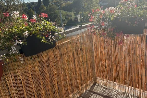 Pronájem bytu 2+kk 50 m², Květná, Plzeň, Plzeňský kraj Pronájem bytu 2+kk 50 m², Květná, Plzeň, Plzeňský kraj