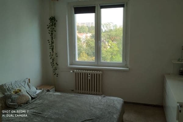 Pronájem bytu 2+kk 44 m², Spodní, Brno Pronájem bytu 2+kk 44 m², Spodní, Brno