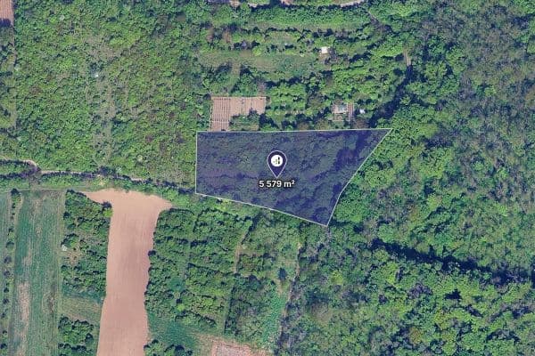 Prodej pozemku 5.579 m², Židlochovice Prodej pozemku 5.579 m², Židlochovice