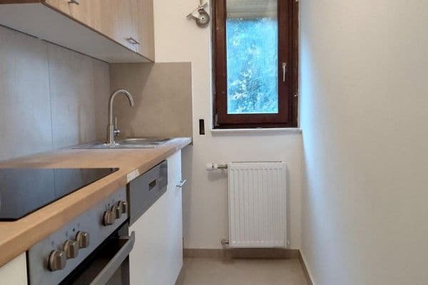 Pronájem bytu 2+1 45 m², Ludwigshafen, Porýní-Falc Pronájem bytu 2+1 45 m², Ludwigshafen, Porýní-Falc