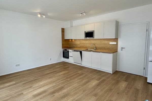 Pronájem bytu 1+kk 35 m², Železná, Plzeň, Plzeňský kraj Pronájem bytu 1+kk 35 m², Železná, Plzeň, Plzeňský kraj