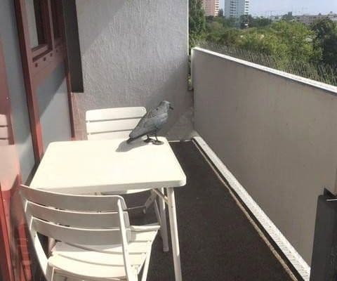 Pronájem bytu 2+1 67 m², München, Bavorsko Pronájem bytu 2+1 67 m², München, Bavorsko