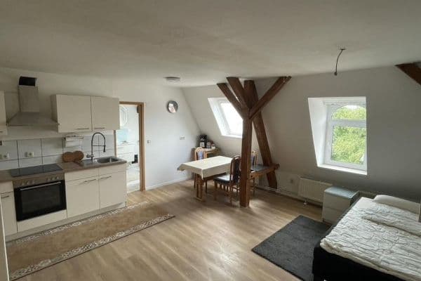 Pronájem bytu 1+1 35 m², Aurelienstraße 2, Leipzig, Sasko Pronájem bytu 1+1 35 m², Aurelienstraße 2, Leipzig, Sasko