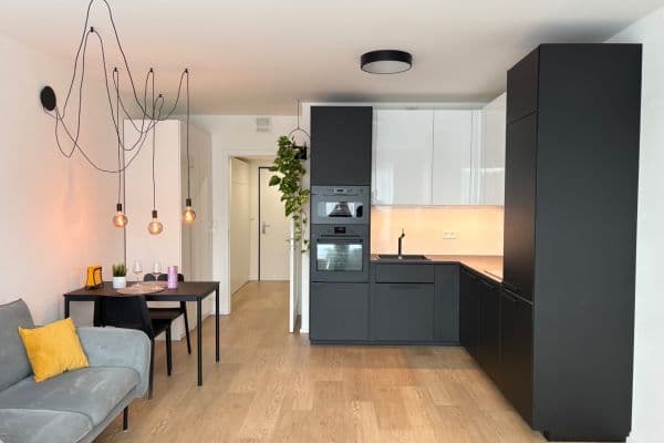Pronájem bytu 1+kk 40 m², Skálové, Praha Pronájem bytu 1+kk 40 m², Skálové, Praha
