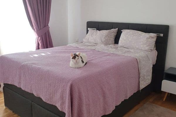 Pronájem bytu 2+1 61 m², Roßlauer Str 2, Leipzig, Sasko Pronájem bytu 2+1 61 m², Roßlauer Str 2, Leipzig, Sasko